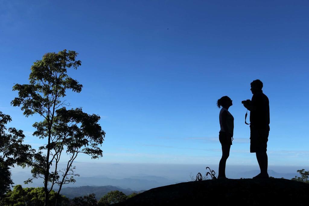 Olive Brook Hotell Munnar Rom bilde